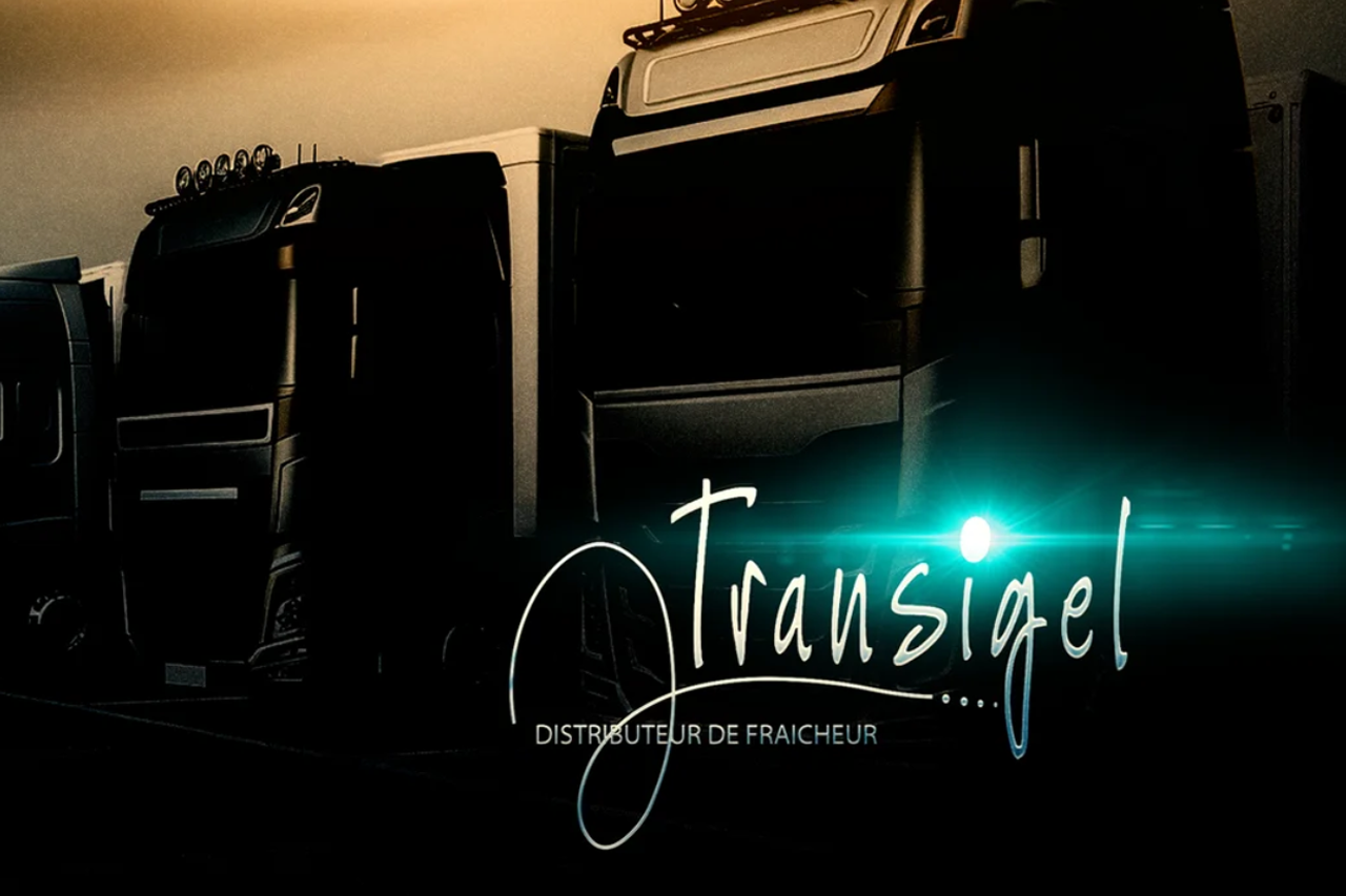 Transigel Project